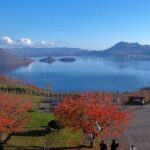 Hokkaido Day Tour from Sapporo: with Bear Park Option - Who Is This Tour Best For?