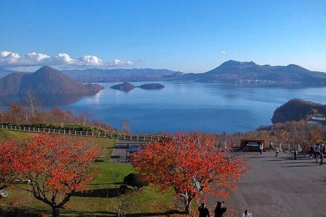 Hokkaido Day Tour from Sapporo: with Bear Park Option - Who Is This Tour Best For?