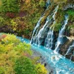 Hokkaido Day Trip From Sapporo, Asahiyama Zoo to Ningle Terrace - A Detailed Look at the Tour Experience