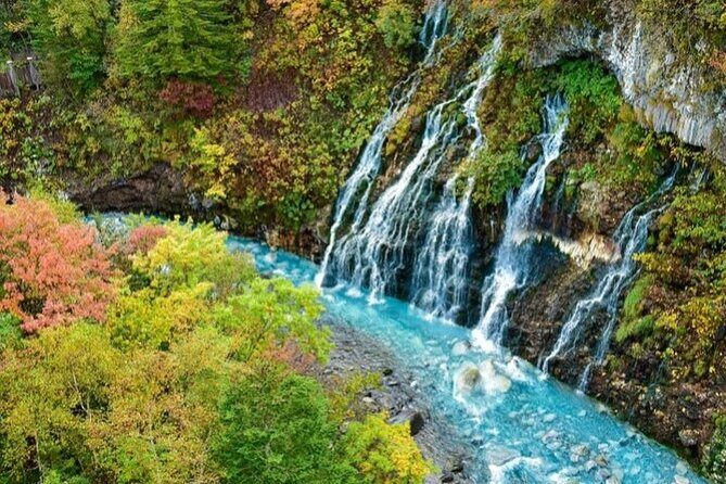 Hokkaido Day Trip From Sapporo, Asahiyama Zoo to Ningle Terrace - A Detailed Look at the Tour Experience