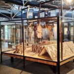 Hokkaido: Explore Living Ainu Traditions in Nibutani - Who Will Appreciate This Tour?