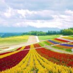 Hokkaido Farm Tomita Shikisai Hill Waterfall& Blue Pond Day Tour - A Detailed Look at the Hokkaido Farm Tomita Shikisai Hill Waterfall & Blue Pond Day Tour