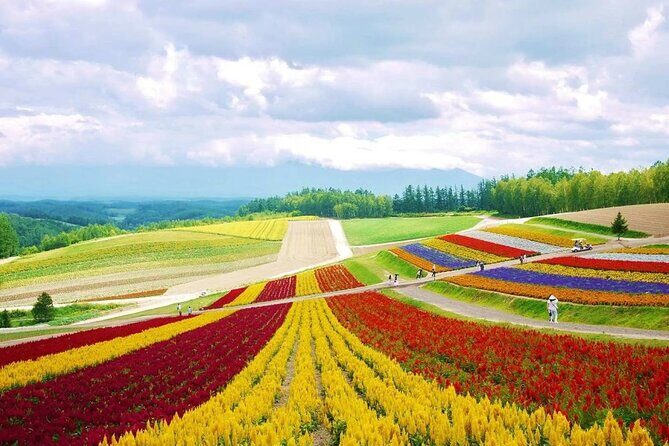 Hokkaido Farm Tomita Shikisai Hill Waterfall& Blue Pond Day Tour - A Detailed Look at the Hokkaido Farm Tomita Shikisai Hill Waterfall & Blue Pond Day Tour