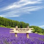 Hokkaido Scenic Day Tour: Zoo, Blue Pond, Iconic Trees & Terrace - Transportation, Timing, and Group Size