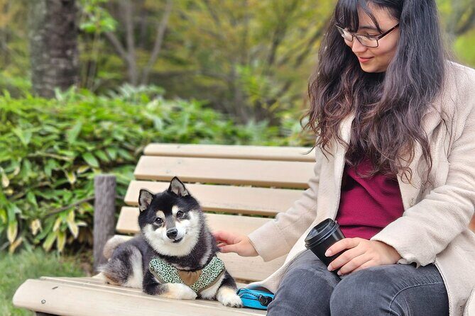Home Cooking with a Local Host (Optional Shiba Inu Picnic) - Why This Tour Offers Great Value