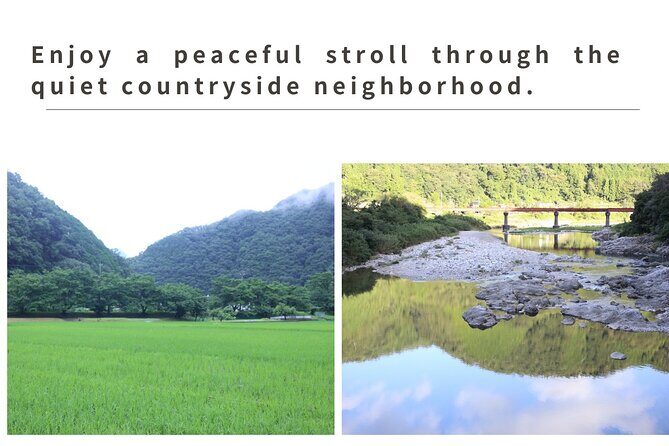 Home Experience: Tea Ceremony & Moss Garden Walk(Day trip) - Who Should Consider This Tour?