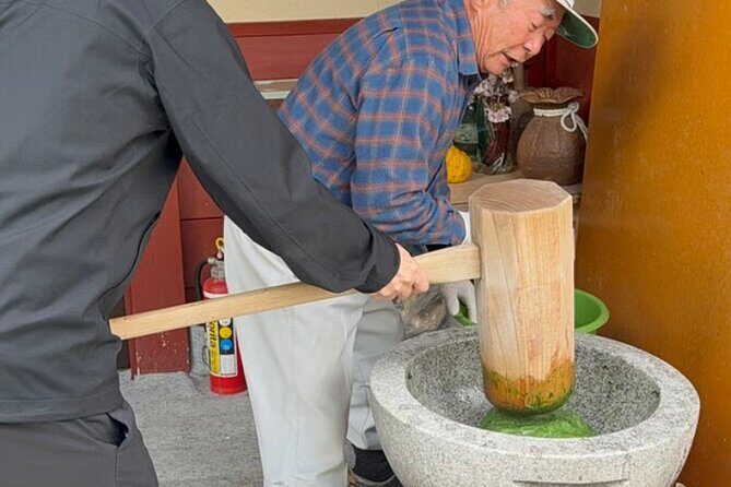 Home Visit and Mochi Pounding Experience near Kyoto - Practical Details and Considerations