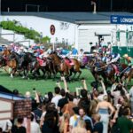 Hong Kong Jockey Club Racecourse Guided Tour with F&B - What You’ll Do on the Tour