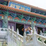 Hong Kong: Lantau, Big Buddha & Tai O Tour w/Private Coach - Final Thoughts