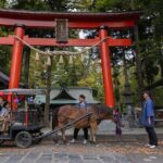 Horse Carriage Ride with Mt. Fuji Views - An in-depth look at what this experience offers