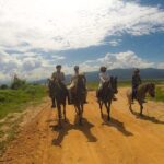 Horse Lesson+Riding+Wat Tonkwen wooden temple.Chiangmai - The Scenic and Cultural Highlights of Wat Ton Kwen