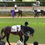 Horse Racing Tour with Local Fans in Tokyo, Oi Racecourse - Practical Details that Matter