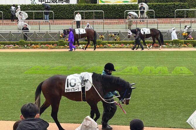 Horse Racing Tour with Local Fans in Tokyo, Oi Racecourse - Practical Details that Matter
