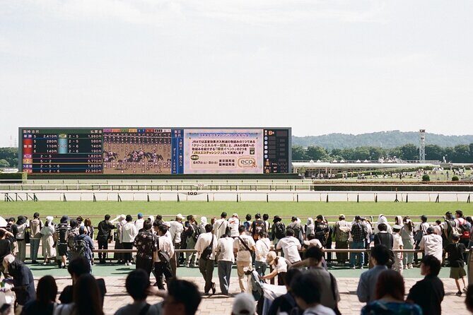 Horse Racing Tour with Local Fans in Tokyo - FAQs
