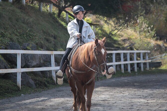 Horse riding Experience in Nature Rich Lake Shirakaba - An In-Depth Look at the Horseback Riding Experience in Nagano