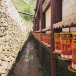 Horse riding in Terelj National Park - An in-depth look at the day tour in Terelj National Park