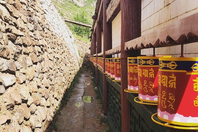 Horse riding in Terelj National Park - An in-depth look at the day tour in Terelj National Park