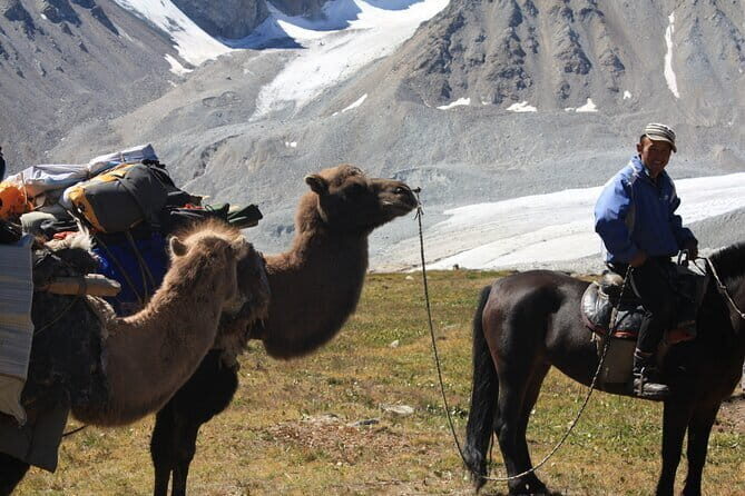 Horse Trekking in Altai Tavan Bogd National Park - Pricing and Value