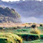 Horton Plains Park & Worlds End Guided Trekking From Nuwara Eliya - Exploring Ambewela Farms: A Picturesque Detour