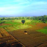 Hot Air Ballooning from Habarana - The Value of the Experience