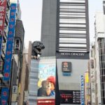 Hotspots Around Shinjuku Tour - Who Should Consider This Tour?
