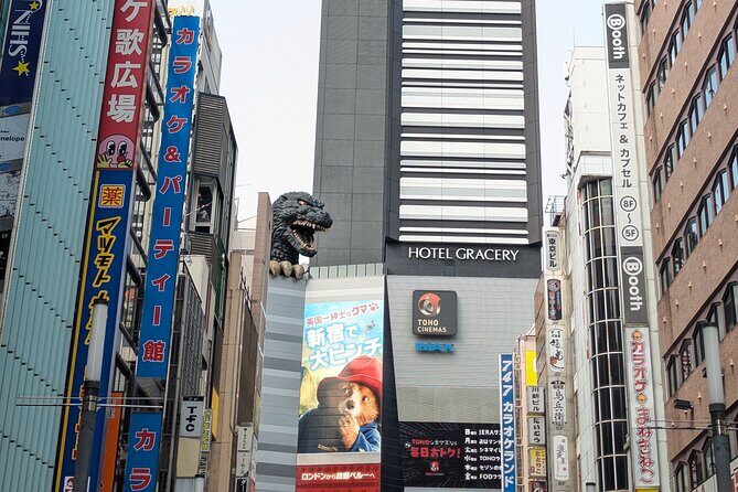 Hotspots Around Shinjuku Tour - Who Should Consider This Tour?