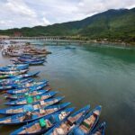 Hue City Daily Tour From Da Nang Explore the Imperial Citadel of Hue - Who Would Love This Tour?