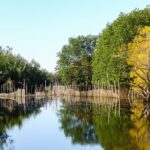 Hue Countryside Tour with Fishing Activities by Net and Trap - Practical Details and What They Mean for You