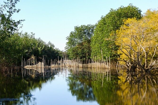 Hue Countryside Tour with Fishing Activities by Net and Trap - Practical Details and What They Mean for You