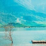 Hue To Hoian/Danang via Ghost City, Hai Van Pass, Golden Bridge - The Sum Up