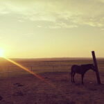 Huhhot Inner Mongolia 3 Days Xilamuren kubuqi Desert Nature Tour - FAQ