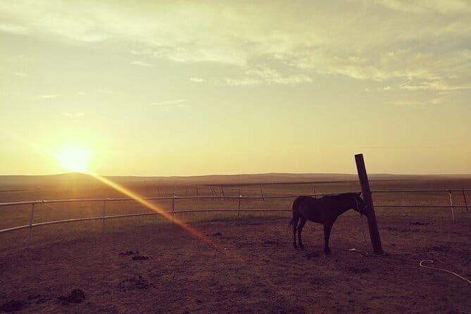 Huhhot Inner Mongolia 3 Days Xilamuren kubuqi Desert Nature Tour - FAQ