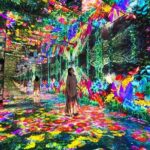 Huis Ten Bosch Package 1 Day Pass, Hotel and Train Transport - Who Should Consider This Tour?