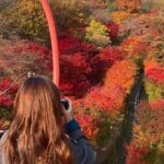 Hwadam Botanic Garden and Namhansanseong and Folk Village Trip - The Practicalities and Value