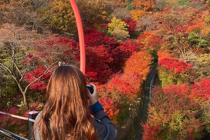 Hwadam Botanic Garden and Namhansanseong and Folk Village Trip - The Practicalities and Value