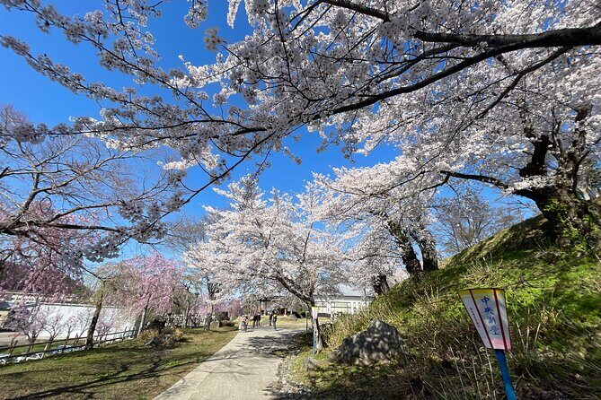 Iiyama Castle Cherry Blossom and Nozawa Onsen Morning Tour - Who Would Enjoy This Tour?