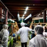 Iiyama Temple and Sake Brewery Day Trip from Nagano - Who Is This Tour Best Suited For?