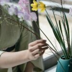 Ikebana Traditional Japanese Art of Flower Arranging - Who Will Love This Tour?