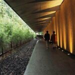 Imperial Palace, Meiji Shrine, & Aoyama Tour - Who Will Enjoy This Tour?