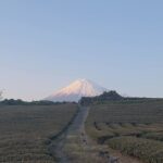 Inaka Excursions | Escape the Cities and find your peace!! - FAQ (Based on Tour Data)