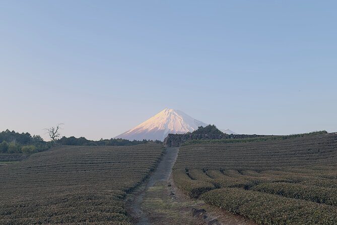 Inaka Excursions | Escape the Cities and find your peace!! - FAQ (Based on Tour Data)