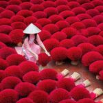 Incense Craft Village & Hanoi City Daily Tour Small Group 9pax - The Overall Value