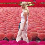 Incense Village, Conical Hat, Lacquer Art, SMALL GROUP From Hanoi - Who Will Appreciate This Tour?