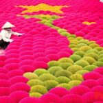 Incense Village Private Tour from Hanoi to Ninh Binh Old Capital - The Experience We Loved