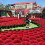 Incense Village, Tam Chuc Pagoda, Ninh Binh Trang An Cruise Tour - Practical Details & What to Expect