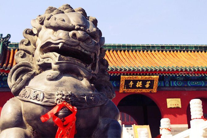 Independent Tour to Shaolin Temple and Longmen Grottoes from Zhengzhou - Who Will Love This Tour?