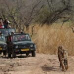 India Golden Triangle Tour With Tiger Safari 7 Day - Considerations for Travelers
