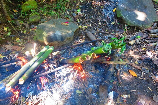 indigenous Forest experience Manila 2023 - Considering the Value