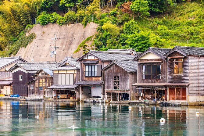 Ine and Amanohashidate Day Trip from Kyoto - Pricing and Value Analysis