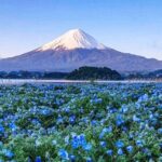 Instagram-worthy Mt. Fuji Spots & Kawaguchiko's Four Seasons Tour - Starting at Chureito Pagoda: The Iconic First Stop